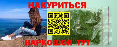 стаф Можга