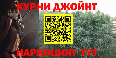стаф Можга