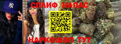 стаф Можга