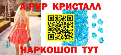 стаф Можга