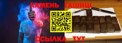 стаф Можга