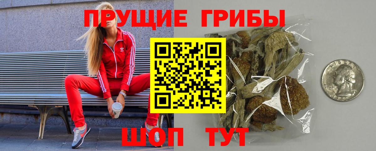 Галлюциногенные грибы GOLDEN TEACHER  Вход с VPN  Урюпинск 